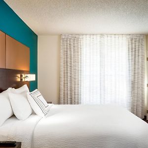 One-Bedroom Queen Suite Sofa Bed